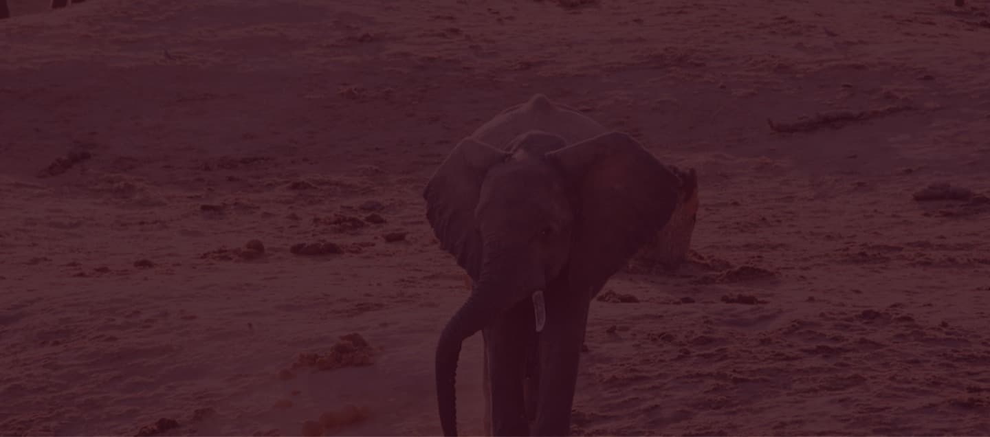Zimbabwe background